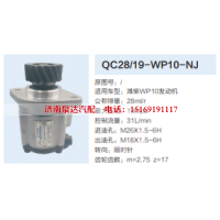 QC28/19-WP10-NJ,转向助力泵,济南泉达汽配有限公司