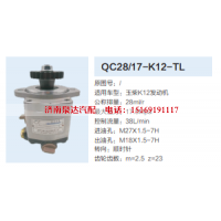 QC28/17-K12-TL,转向助力泵,济南泉达汽配有限公司