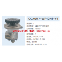 QC40/17-WP12N1-YT,转向助力泵,济南泉达汽配有限公司