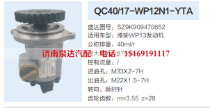 QC40/17-WP12N1-YTA,转向助力泵,济南泉达汽配有限公司