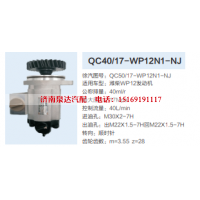 QC40/17-WP12N1-NJ,转向助力泵,济南泉达汽配有限公司