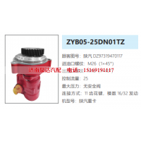 ZYB05-25DN01TZ陕汽德龙方向助力泵转向油泵液压泵叶片泵