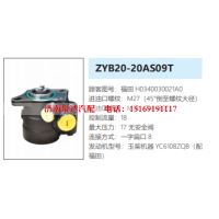 ZYB20-20AS09T玉柴发动机方向助力泵动力转向泵液压泵