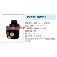 1324334001003,转向助力泵,济南泉达汽配有限公司