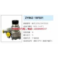 ZYB62-18FS01陕汽德龙转向泵助力泵液压油泵转子泵