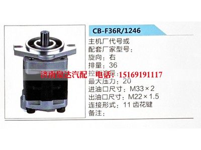 CB-F36R-1246,转向助力泵,济南泉达汽配有限公司