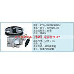 ZYB-0807R-382C-1,307020-43小车转向泵系列