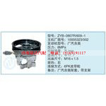 ZYB-0807R-609-1,10005323-002小车转向泵系列
