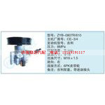 ZYB-0807R-610,CE-3-4小车转向泵系列
