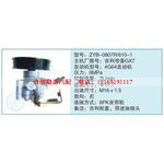 ZYB-0807R-610-1,吉利帝豪GX7小车转向泵系列