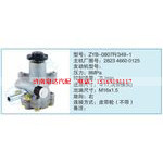 ZYB-0807R-349-1,282346600125小车转向泵系列