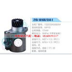 ZYB-1816R-514-1，1325334008004，WP10动力转向助力泵，叶片泵