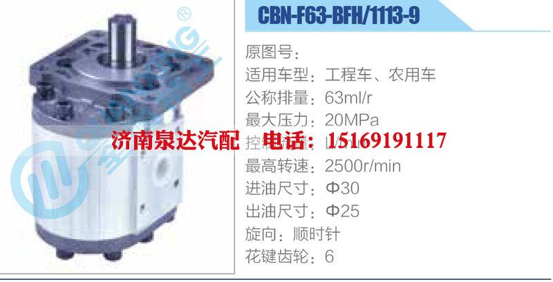 CBN-F63-BFH-1113-9,工程車、農(nóng)用車齒輪泵/CBN-F63-BFH-1113-9,工程車、農(nóng)用車