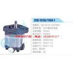 ZCB-1313L-1160-1,QC16-13-CS7BW,长沙福田农用车齿轮泵