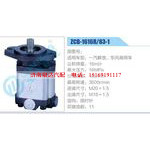 ZCB-1616R-83-1齿轮泵