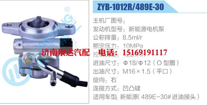 ZYB-1012R-489E-30，新能源電機(jī)泵,,濟(jì)南泉達(dá)汽配有限公司