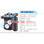 ZYB-1319R-466-9，F(xiàn)G9816470917，YC6J220-30動(dòng)力轉(zhuǎn)向助力泵，葉片泵