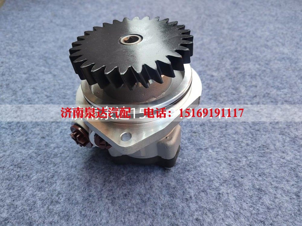 AZ979747020028,轉(zhuǎn)向助力泵,濟(jì)南泉達(dá)汽配有限公司