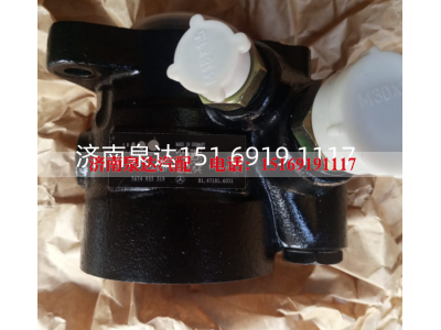 7674955519,转向助力泵,济南泉达汽配有限公司