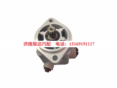 542021210,转向助力泵,济南泉达汽配有限公司