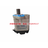 QC20/17-YCK09L合肥力威转向齿轮油泵助力泵液压泵转向泵