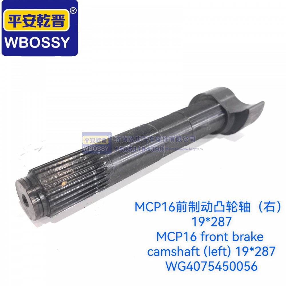 MCP16前制动凸轮轴(右)  19*287