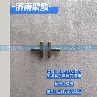 摆块 1316 306 015