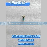 带垫片的螺丝 0636 100 466