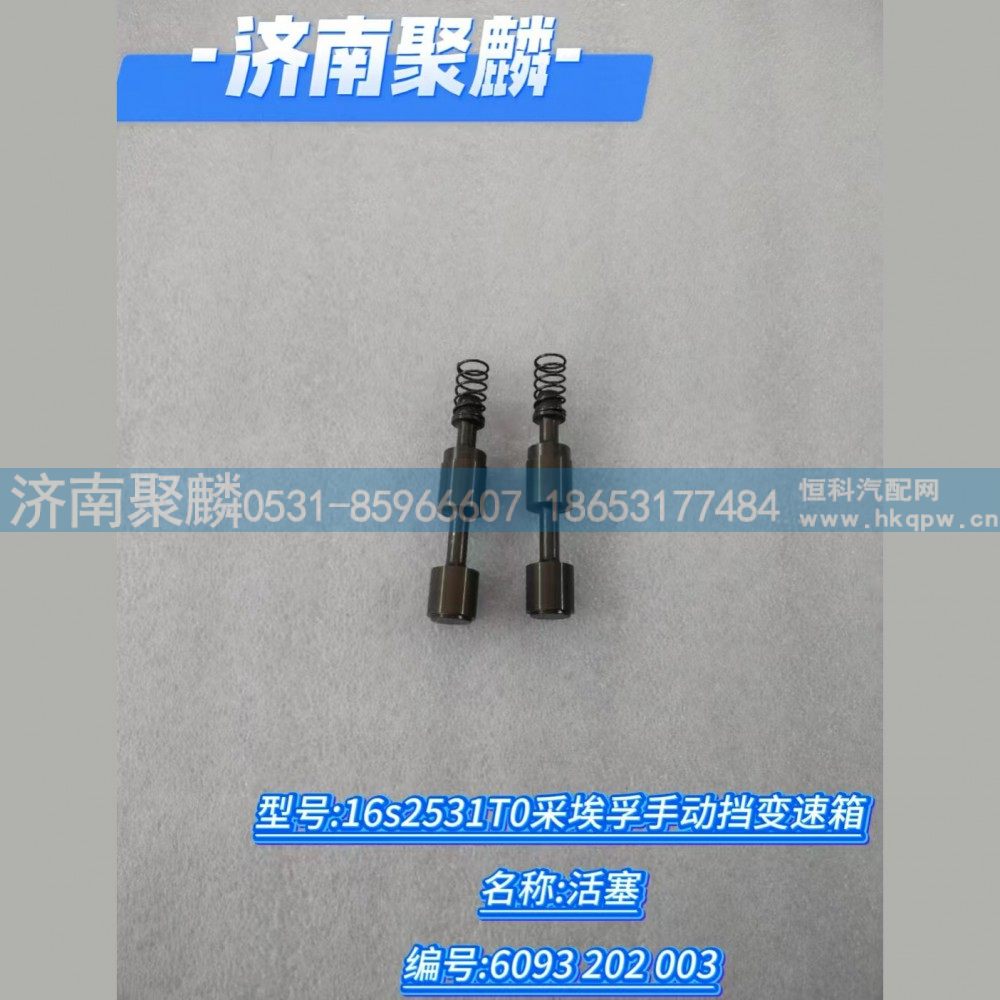 6093 202 003,活塞,济南聚麟汽车销售服务有限公司