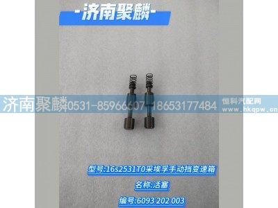 6093 202 003,活塞,济南聚麟汽车销售服务有限公司