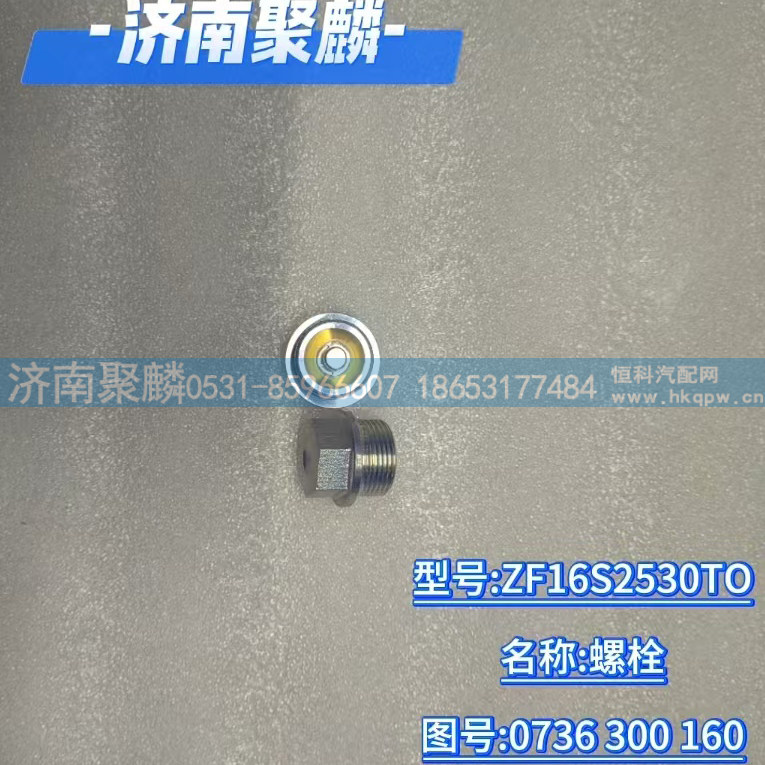 螺栓 0736 300 160/0736 300 160