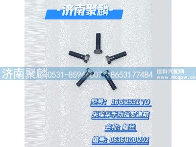 0636 100 202,螺丝,济南聚麟汽车销售服务有限公司