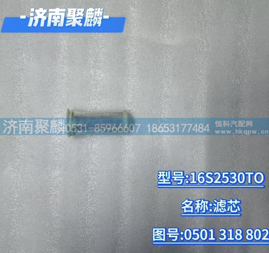 滤芯 0501 318 802/0501 318 802