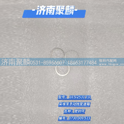 密封环 0730 009 515/0730 009 515