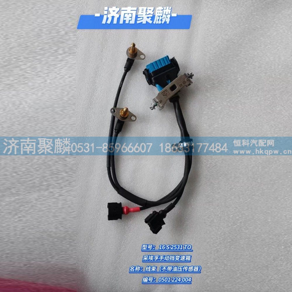 0501 224 004,线束（不带油压传感器）,济南聚麟汽车销售服务有限公司