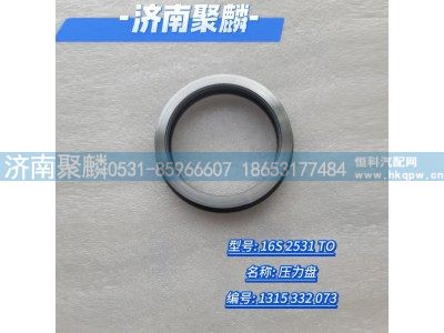 1315 332 073,压力盘,济南聚麟汽车销售服务有限公司