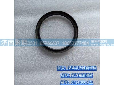 0734 300 421,变速箱后油封,济南聚麟汽车销售服务有限公司