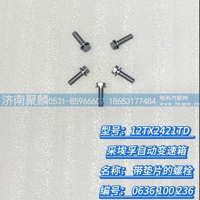 带垫片的螺栓 0636 100 236