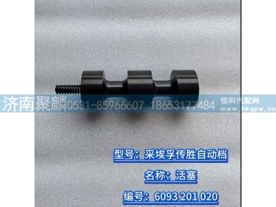 6093 201 020,活塞,濟南聚麟汽車銷售服務有限公司