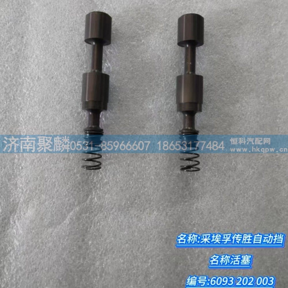6093 202 003,活塞,济南聚麟汽车销售服务有限公司