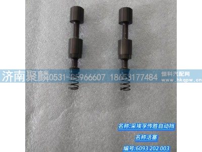 6093 202 003,活塞,济南聚麟汽车销售服务有限公司