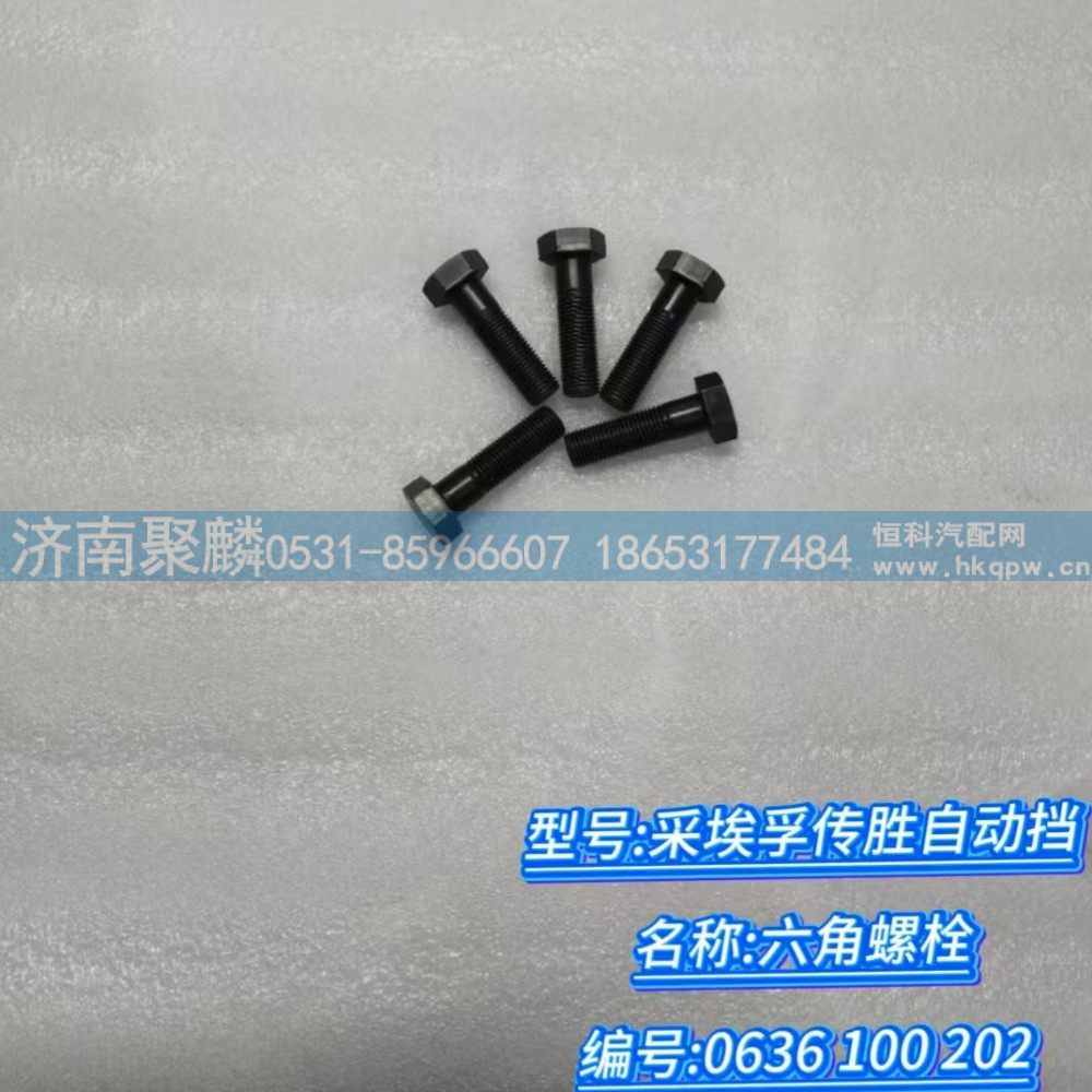 0636 100 202,六角螺栓,濟南聚麟汽車銷售服務有限公司