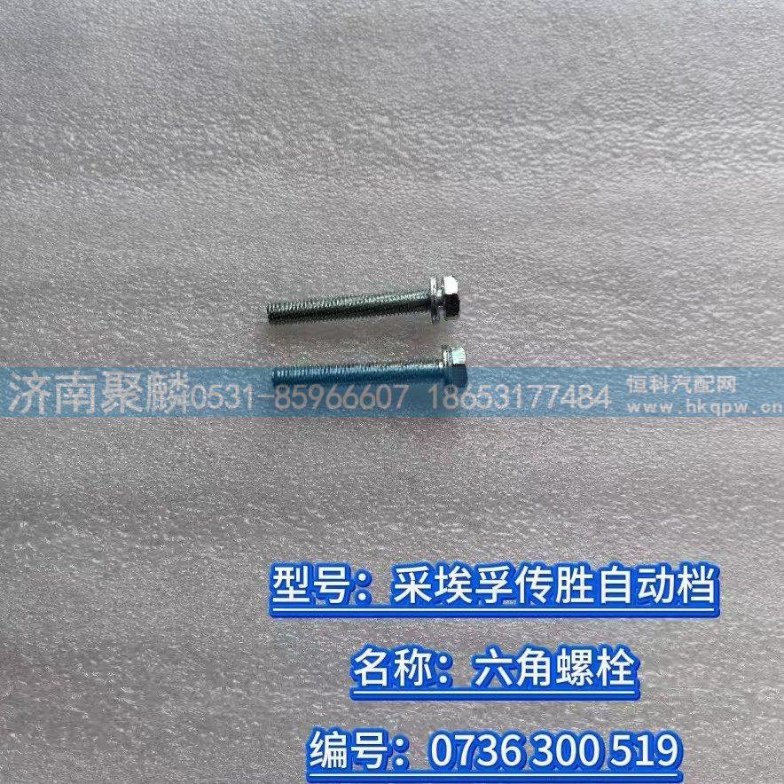 0736 300 519,六角螺栓,濟(jì)南聚麟汽車銷售服務(wù)有限公司