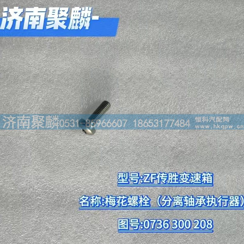 0736 300 208,梅花螺栓（分離軸承執行器）,濟南聚麟汽車銷售服務有限公司