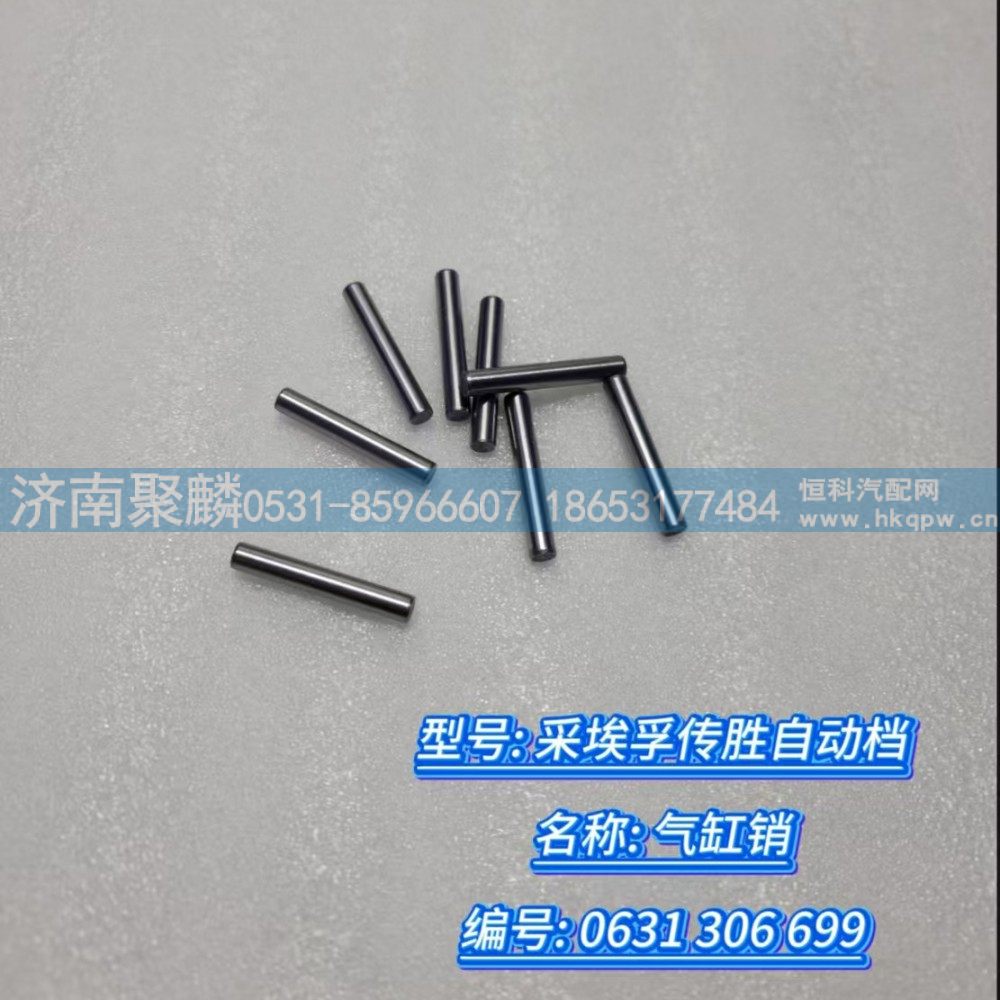 氣缸銷 0631 306 699/0631 306 699