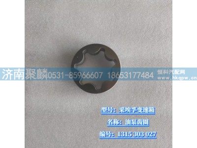 1315 303 027,油泵齒圈,濟(jì)南聚麟汽車(chē)銷(xiāo)售服務(wù)有限公司