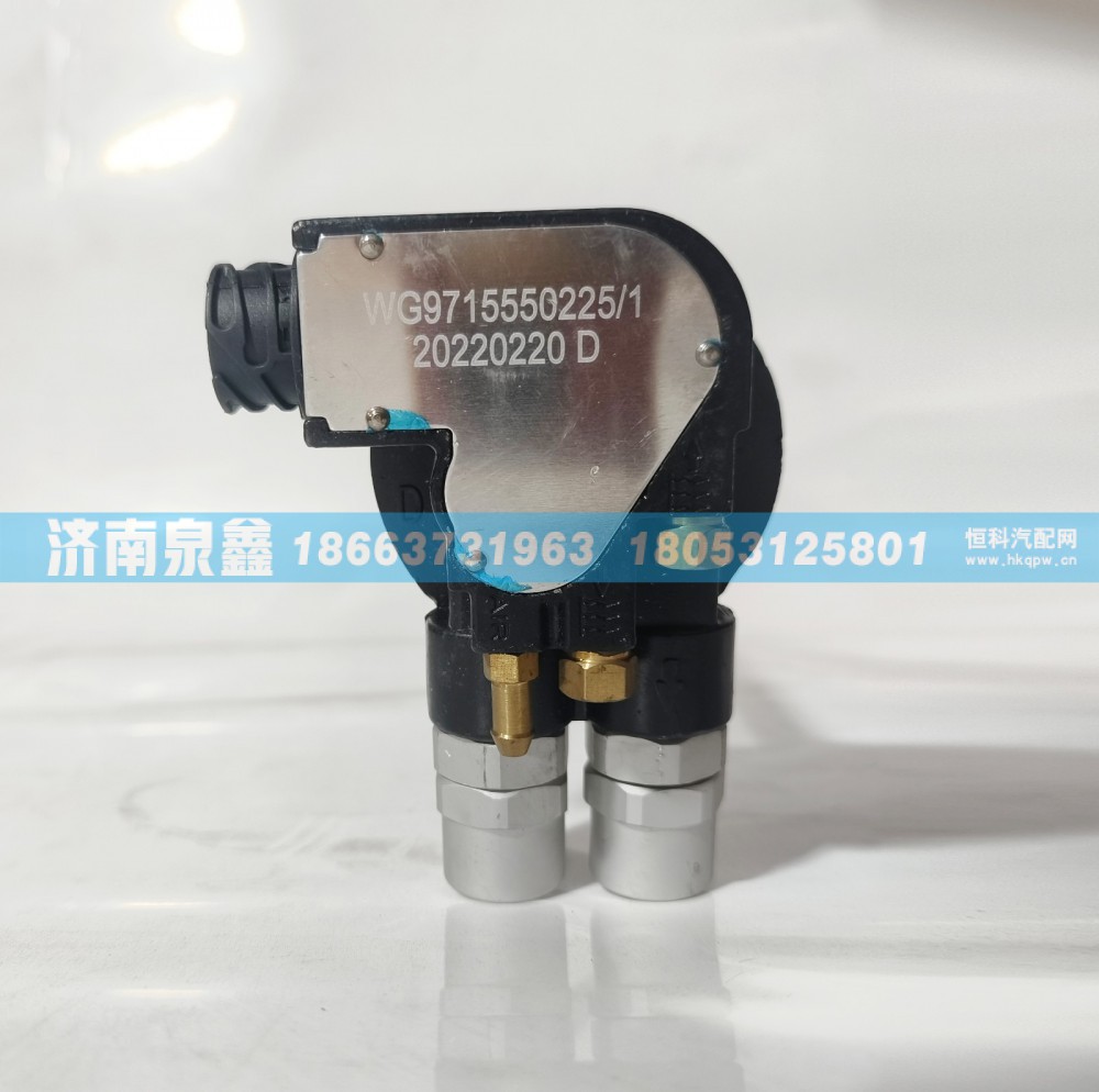 SINOTRUK重汽WG9715550225/1油量传感器 燃油传感器 油浮子