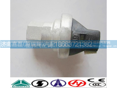 WG1200190040,空濾器堵塞開關(guān),濟南嘉磊汽車配件有限公司(原濟南瑞翔)