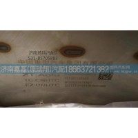 WG9925547436/MC13氣助國V消聲器總成