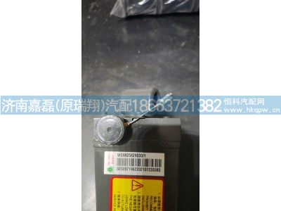 WG9925829030,TH7电动举升泵总成,济南嘉磊汽车配件有限公司(原济南瑞翔)